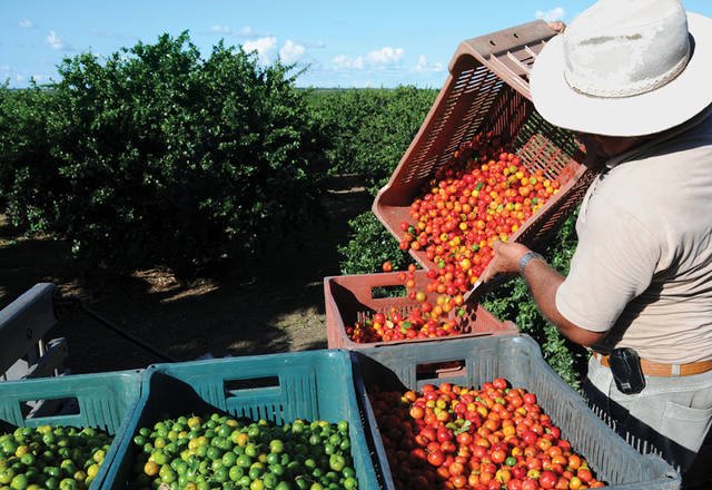 nota fiscal produtor rural